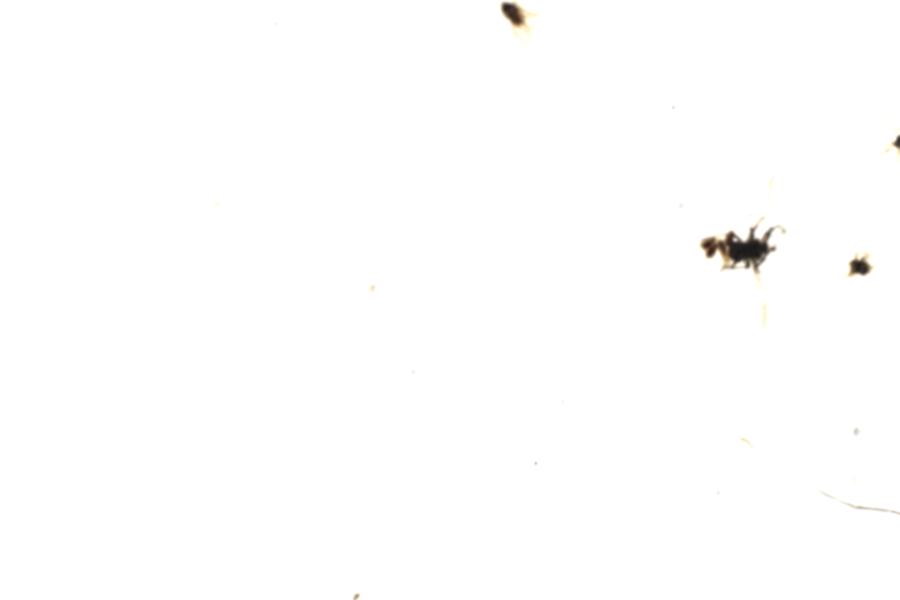 Image 108